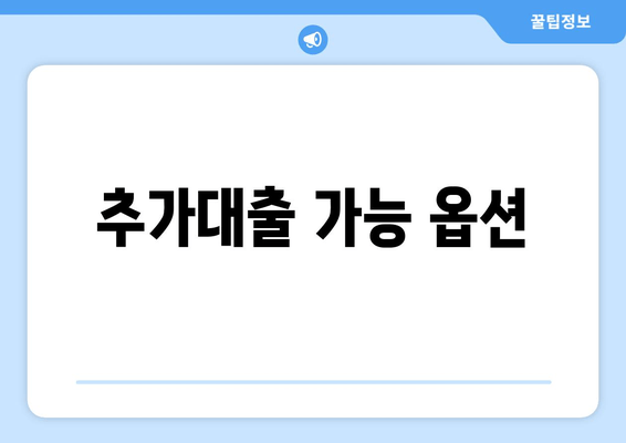 추가대출 가능 옵션