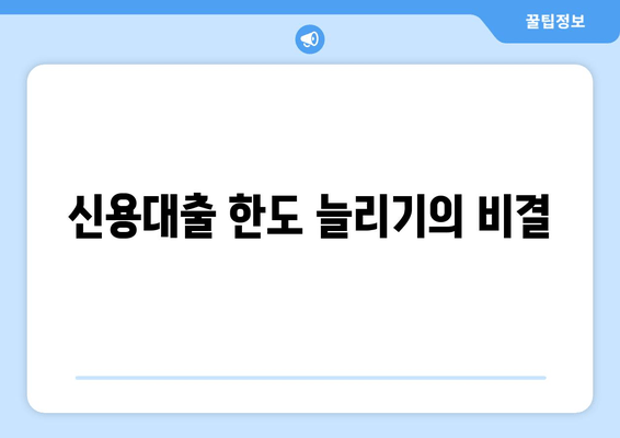 신용대출 한도 늘리기의 비결