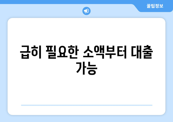 급히 필요한 소액부터 대출 가능