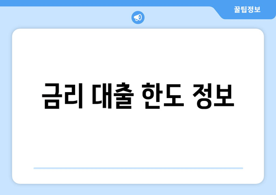 금리 대출 한도 정보