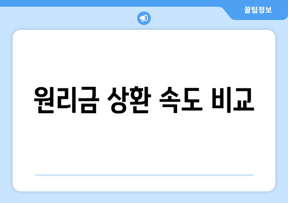 원리금 상환 속도 비교