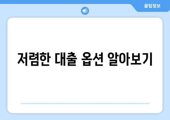 저렴한 대출 옵션 알아보기