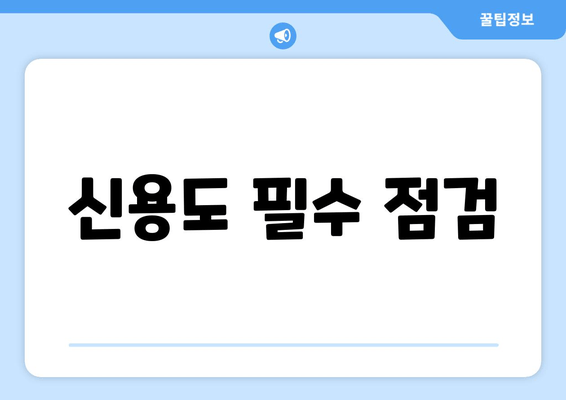 신용도 필수 점검