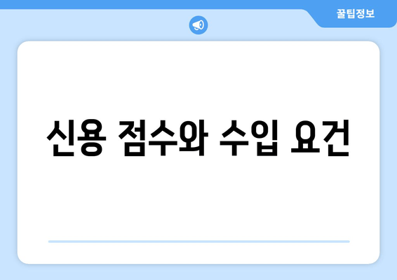 신용 점수와 수입 요건