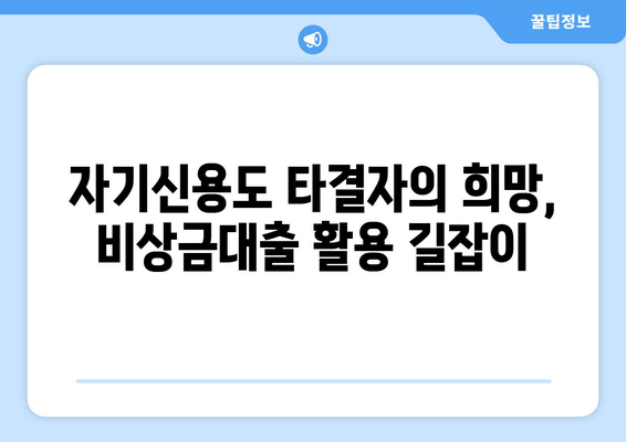 자기신용도 타결자의 희망, 비상금대출 활용 길잡이