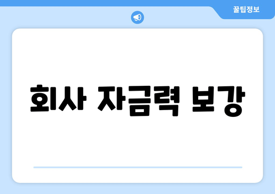 회사 자금력 보강