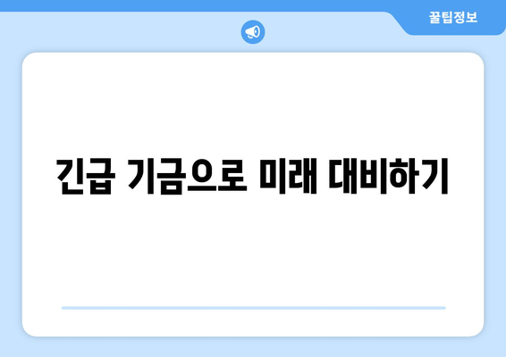 긴급 기금으로 미래 대비하기