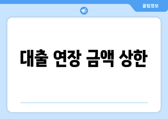 대출 연장 금액 상한