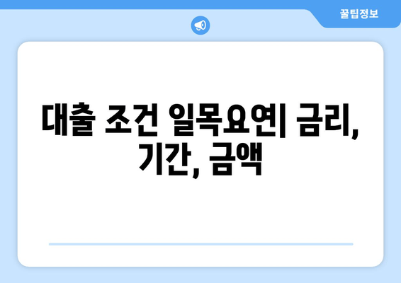 대출 조건 일목요연| 금리, 기간, 금액