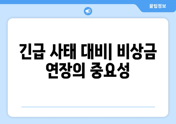 긴급 사태 대비| 비상금 연장의 중요성