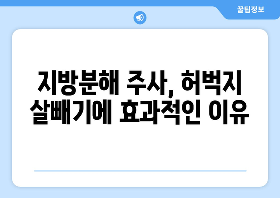 날씬 허벅지, 지방분해 주사로 단숨에! 효과적인 시술 정보 | 허벅지 지방, 비만, 미용, 시술 후기, 가격 비교