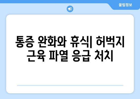 허벅지 근육 파열, 빠르게 회복하는 3단계 전략| 증상부터 치료, 재활까지 | 허벅지 통증, 운동 부상, 근육 파열 회복