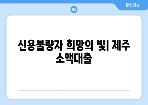 신용불량자 희망의 빛| 제주 소액대출