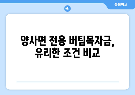 양사면 전용 버팀목자금, 유리한 조건 비교