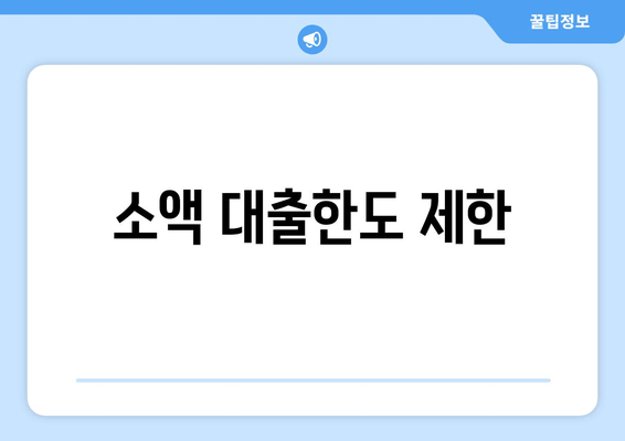 소액 대출한도 제한