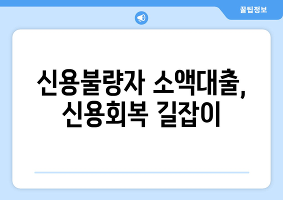 신용불량자 소액대출, 신용회복 길잡이