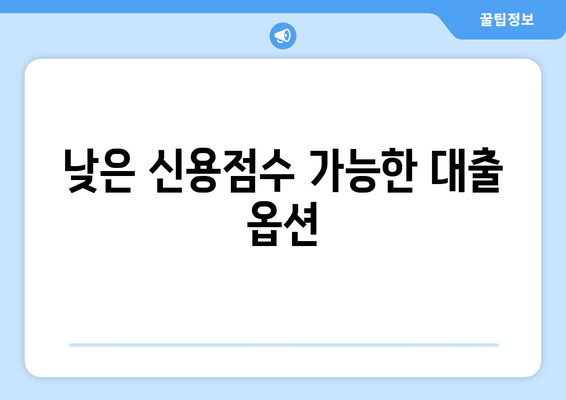 낮은 신용점수 가능한 대출 옵션