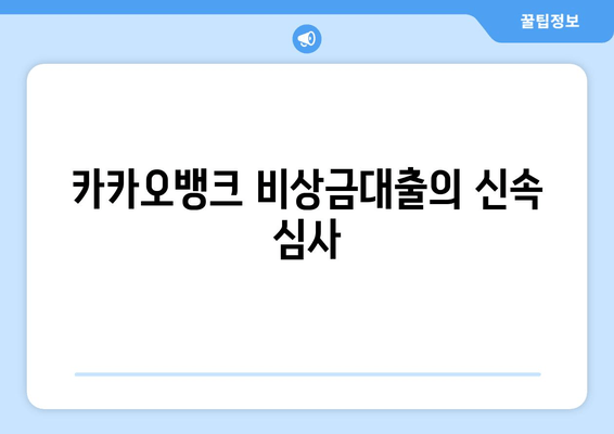 카카오뱅크 비상금대출의 신속 심사