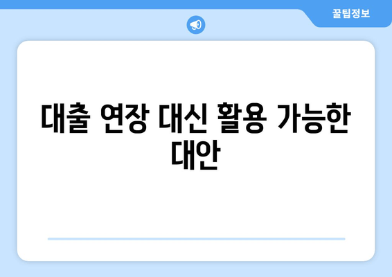 대출 연장 대신 활용 가능한 대안