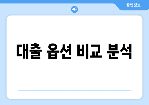 대출 옵션 비교 분석