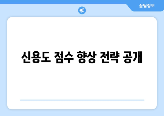 신용도 점수 향상 전략 공개