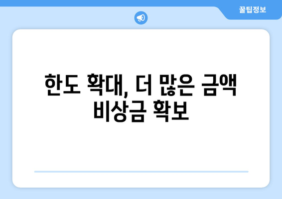 한도 확대, 더 많은 금액 비상금 확보