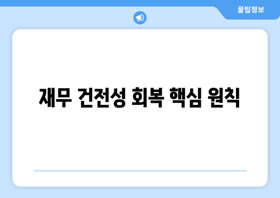 재무 건전성 회복 핵심 원칙