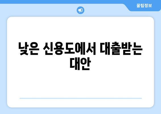 낮은 신용도에서 대출받는 대안