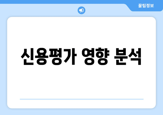 신용평가 영향 분석