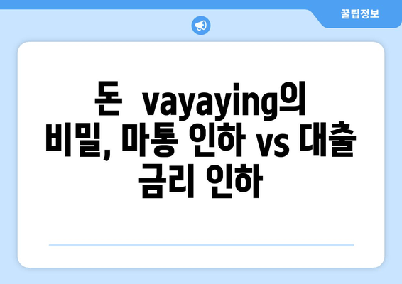 돈 vayaying의 비밀, 마통 인하 vs 대출 금리 인하