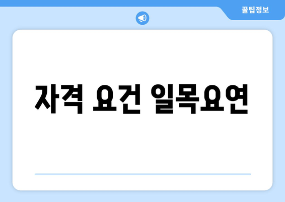 자격 요건 일목요연