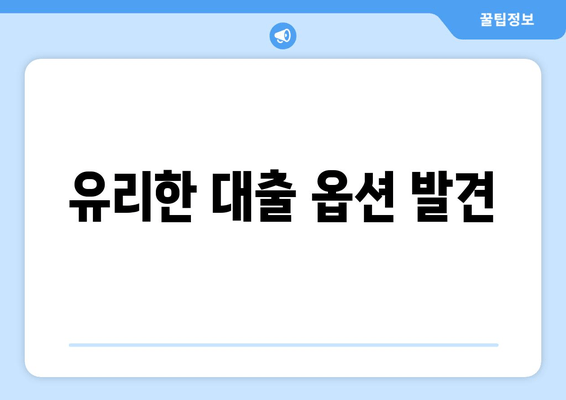 유리한 대출 옵션 발견