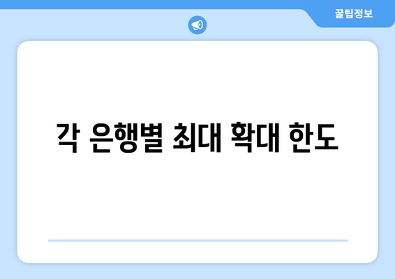 각 은행별 최대 확대 한도