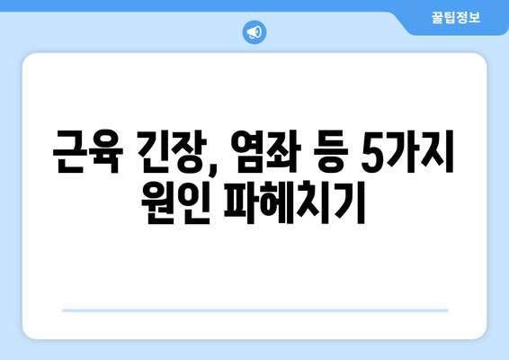 오래 걸으면 허벅지 바깥쪽이 아픈 이유| 5가지 원인과 해결책 | 통증 완화, 운동, 스트레칭, 근육 긴장, 염좌