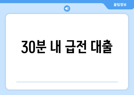 30분 내 급전 대출