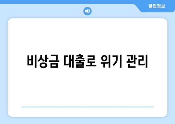 비상금 대출로 위기 관리