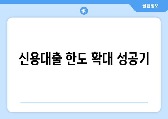 신용대출 한도 확대 성공기