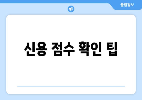 신용 점수 확인 팁