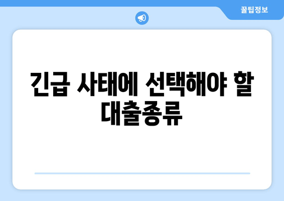 긴급 사태에 선택해야 할 대출종류