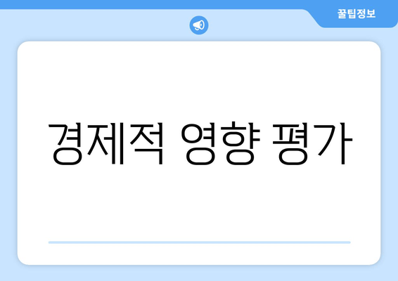 경제적 영향 평가