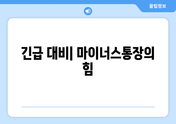 긴급 대비| 마이너스통장의 힘