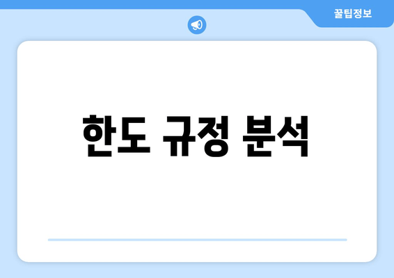 한도 규정 분석