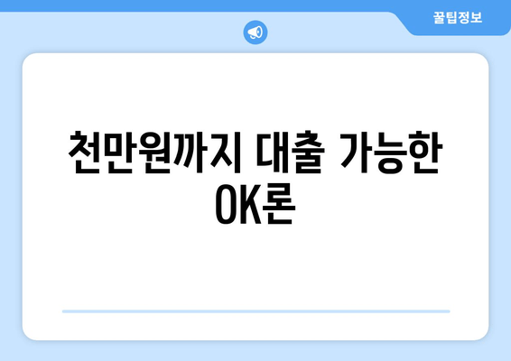 천만원까지 대출 가능한 OK론