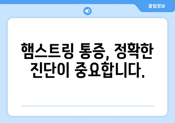 허벅지 뒷쪽 통증의 원인과 해결책| 진단부터 치료 옵션까지 완벽 가이드 | 허벅지 통증, 햄스트링 통증, 근육통, 운동 부상