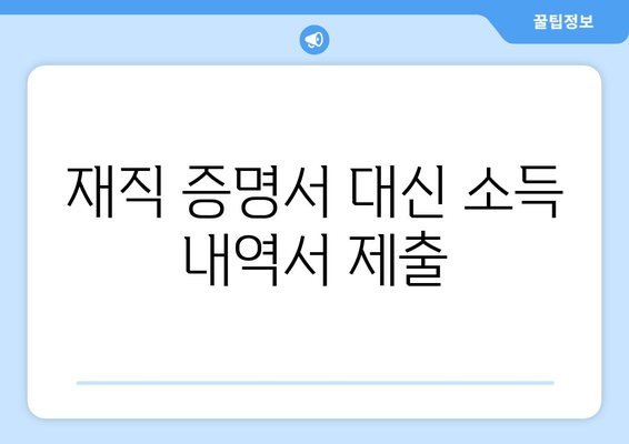 재직 증명서 대신 소득 내역서 제출