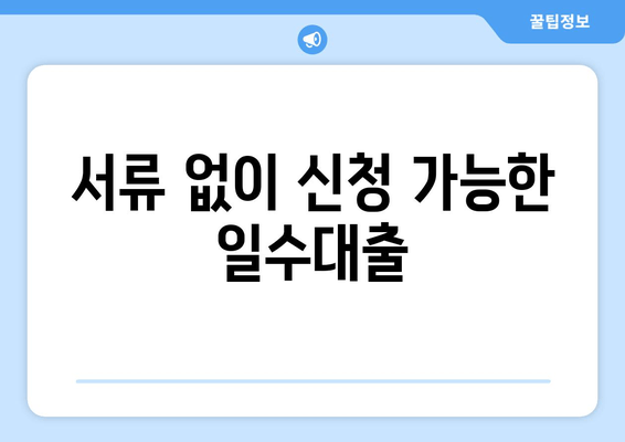 서류 없이 신청 가능한 일수대출