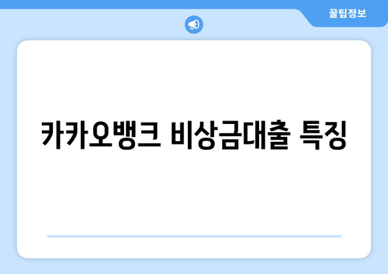 카카오뱅크 비상금대출 특징