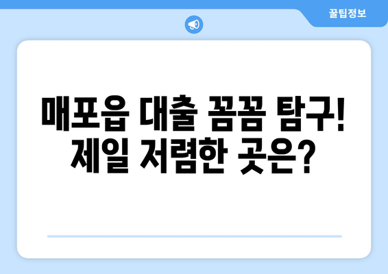 매포읍 대출 꼼꼼 탐구! 제일 저렴한 곳은?