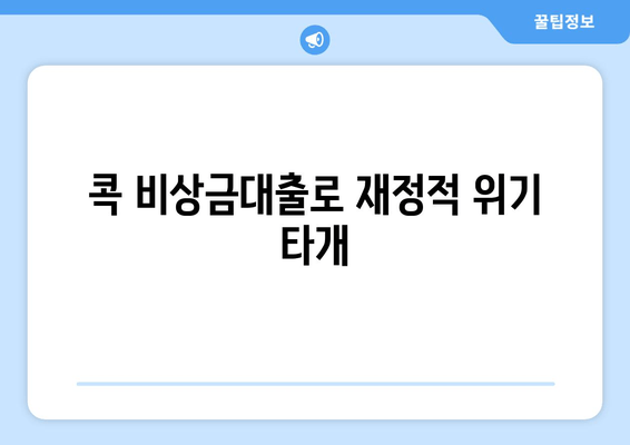 콕 비상금대출로 재정적 위기 타개