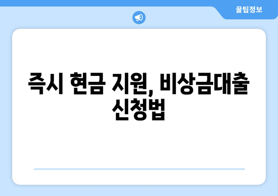 즉시 현금 지원, 비상금대출 신청법